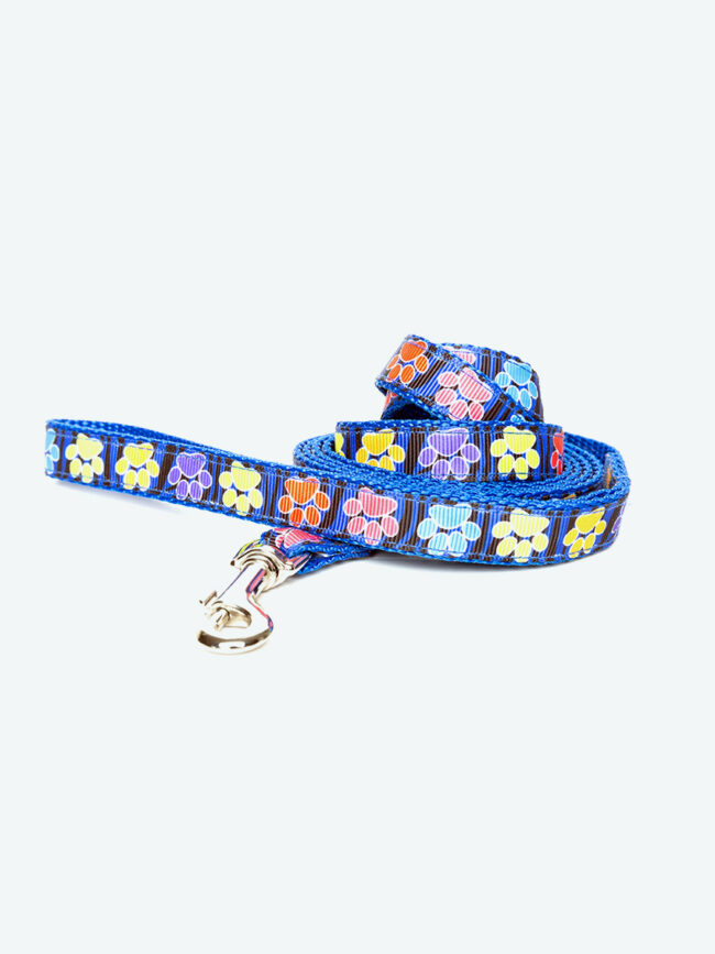 Blue dog leash